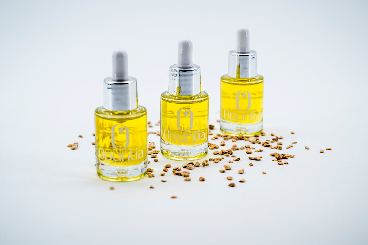 Élixir d’Opuntia